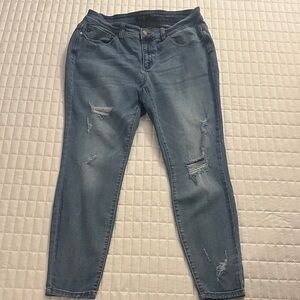 16W Judy Blue Distressed Skinny Jeans